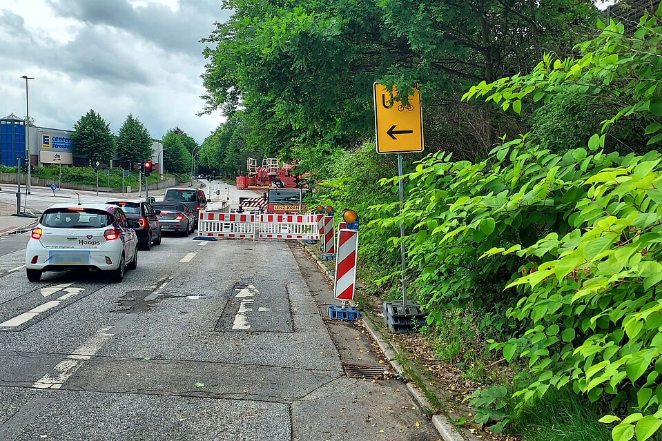 Umleitung Hartwigstraße. Schild für den Radverkehr hinter Blättern versteckt Umleitung Hartwigstraße. Schild für den Radverkehr hinter Blättern versteckt