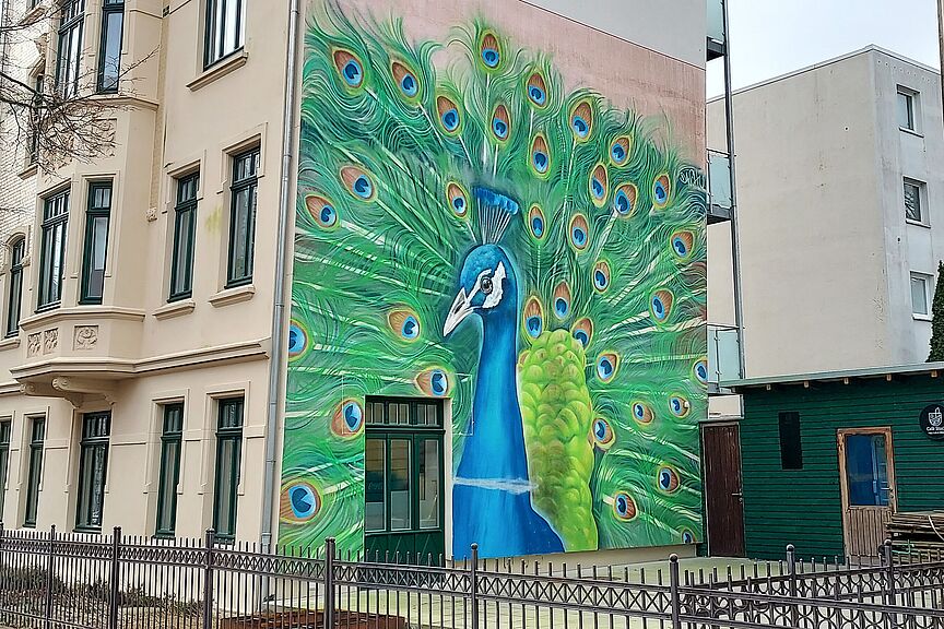 Pfau, Graffito Goethestraße Pfau, Graffito Goethestraße