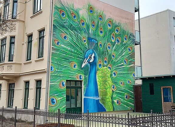 Pfau, Graffito Goethestraße